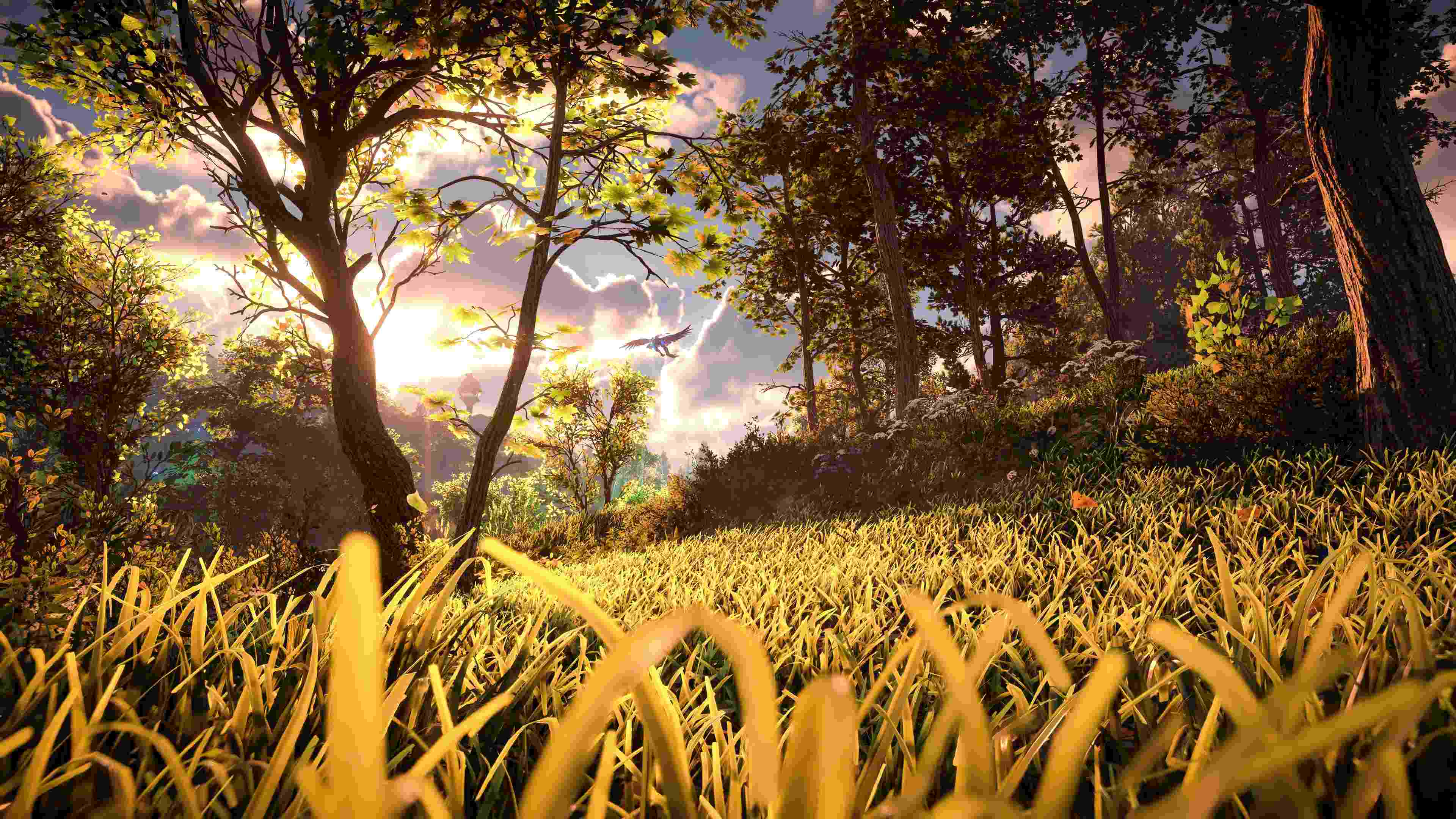 Horizon Forbidden West_20220319133624